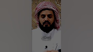 رعد الكردي سورة الزمر #رعد_الكردي #سورة_الزمر #قرآن_كريم #raadalkurdy #islam #quran