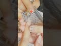 【美容DAY】こぺのネイルサロン密着【ネイルアート】