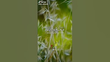 حالات واتس اب قرآن كريم/حالات واتس يوم الجمعه/جمعه مباركه