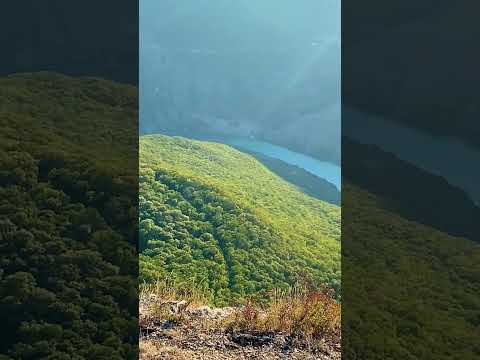 Полёт орла над