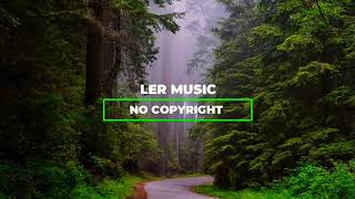 Music No Copyright Vlog Music Lermusic