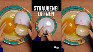 Straußenei öffnen by Luksan Wunder