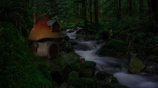 🧚 Enchanted Fairy Forest 🦋 Magical Forest Ambience #dnd Night Sounds to Relax 🍄 by Night Sounds Ambience 3,127 views 1 year ago 4 hours, 59 minutes