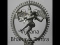 Lecture du vijnna bhairava tantra 01 par david dubois