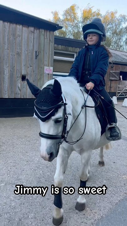 Sweetest boy Jimmy #music #horse #aicover #equestrianjourney #viralvideo #fypviralシ #pony #cute