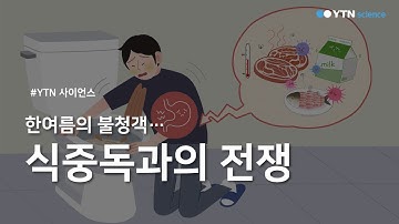 한여름의 불청객…식중독과의 전쟁 / YTN 사이언스