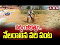 వర్షం బీభత్సం.. నేలరాలిన వరి పంట | Farmers Facing Problems due to Heavy Rains | ABN Telugu