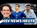 HSV NEWS Heute! Unglaublich, HSV und Tottenham mit krasser Vuskovic-Klausel