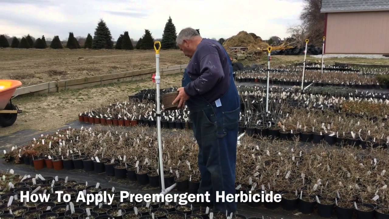 How To Apply Preemergent Herbicide Youtube