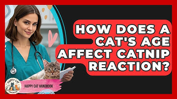 How Does A Cat
