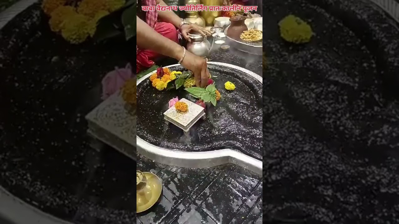 🌺🌿⚘️ बाबा वैद्यनाथ ज्योतिर्लिंग प्रातःकालीन पूजन 🌺🌿⚘️ 26/12/25 