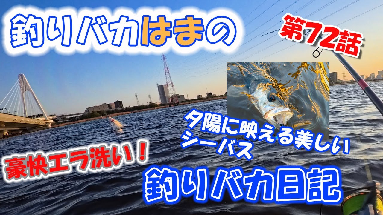 春のベイトが湧いてきた！乱牙でシーバス豪快エラ洗い！