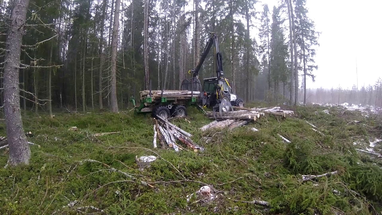 Forwarding with Valmet 6600 + Farma 14T 4wd + 8,5G2