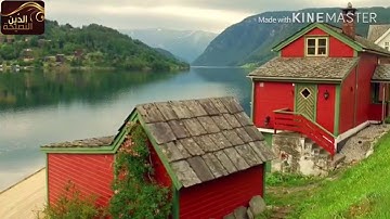 تلاوة هادئة من سورة النازعات بصوت القارئ : بيشةوا قادر الكردى