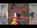 Skupni lov-akcije iz pogona | Drückjagd |Driven hunt with dogs