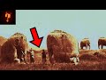 Who Built The Bada Valley Megaliths?
