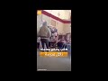 حديث السوشال طالب أميركي يصفع معلمته داخل الفصل الدراسي لهذا السبب 