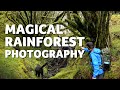 Photographing a Magical Rainforest in Scotland