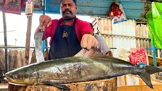 KASIMEDU SELVAM BIG BROWN SEA COBIA FISH CUTTING VIDEO | CUTTING SPOT ?