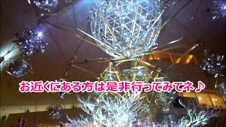 阪急梅田店クリスマスイベント☆巨大ミラーボール ショー/ゆきぴょん♪親子動画