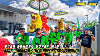 Arak - Arakan Singa Depok TRESNAWANGI || Buah Kawung Gopar Live In Ciherang - Subang