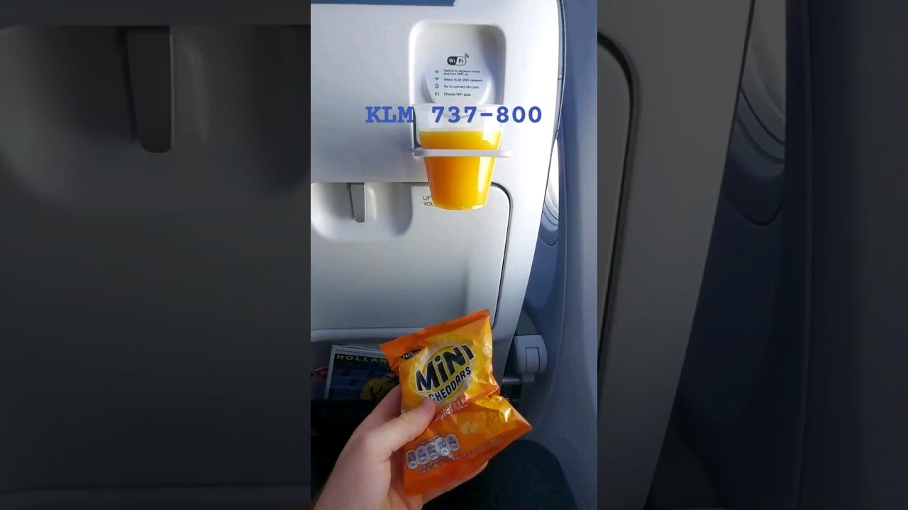 Best Economy Class in Europe?😱 KLM 737-800 AMS-MAN 