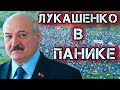 ЛУКАШЕНКО В ПАНИКЕ! ПРОТЕСТУЮЩИЕ ИДУТ К РЕЗИДЕНЦИИ | Митинги в Минске протесты в Белоруссии