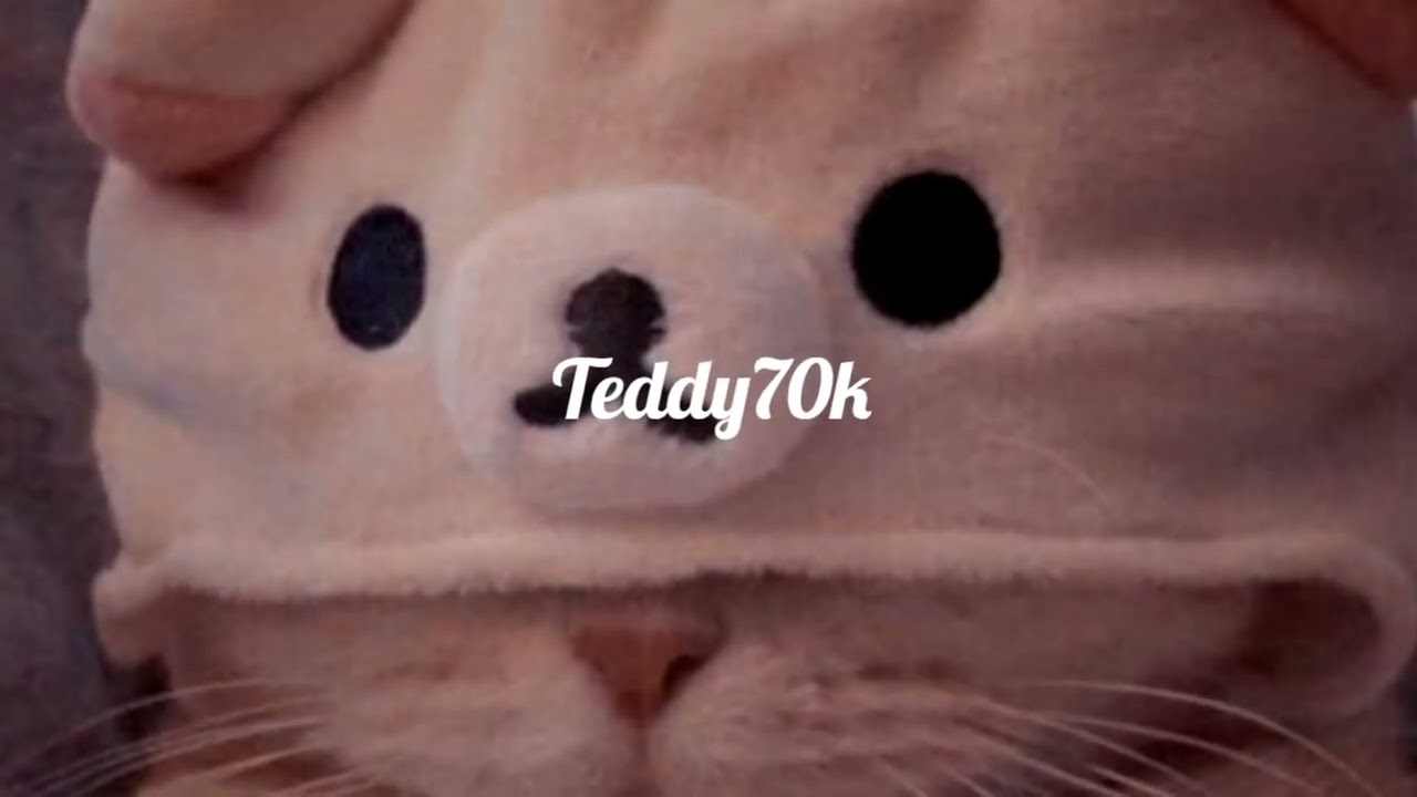 Teddy70k - in vain Ft. Allxn & Hundro (Prod. Hieloways)