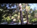 Realty Reality Episode 5, West Vancouver