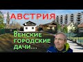 Австрия. Вена. Дачные поселки в городе.....