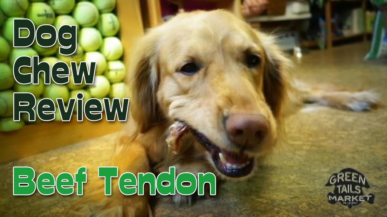 Dog Chew Review - Dried Beef Tendon