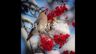 201704 莫将易得等闲看40422