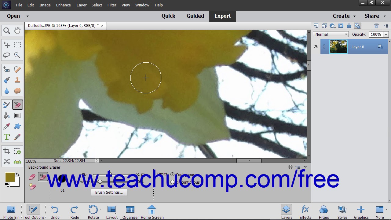 Photoshop Elements 2019 Tutorial The Background Eraser Tool Adobe Training  - YouTube