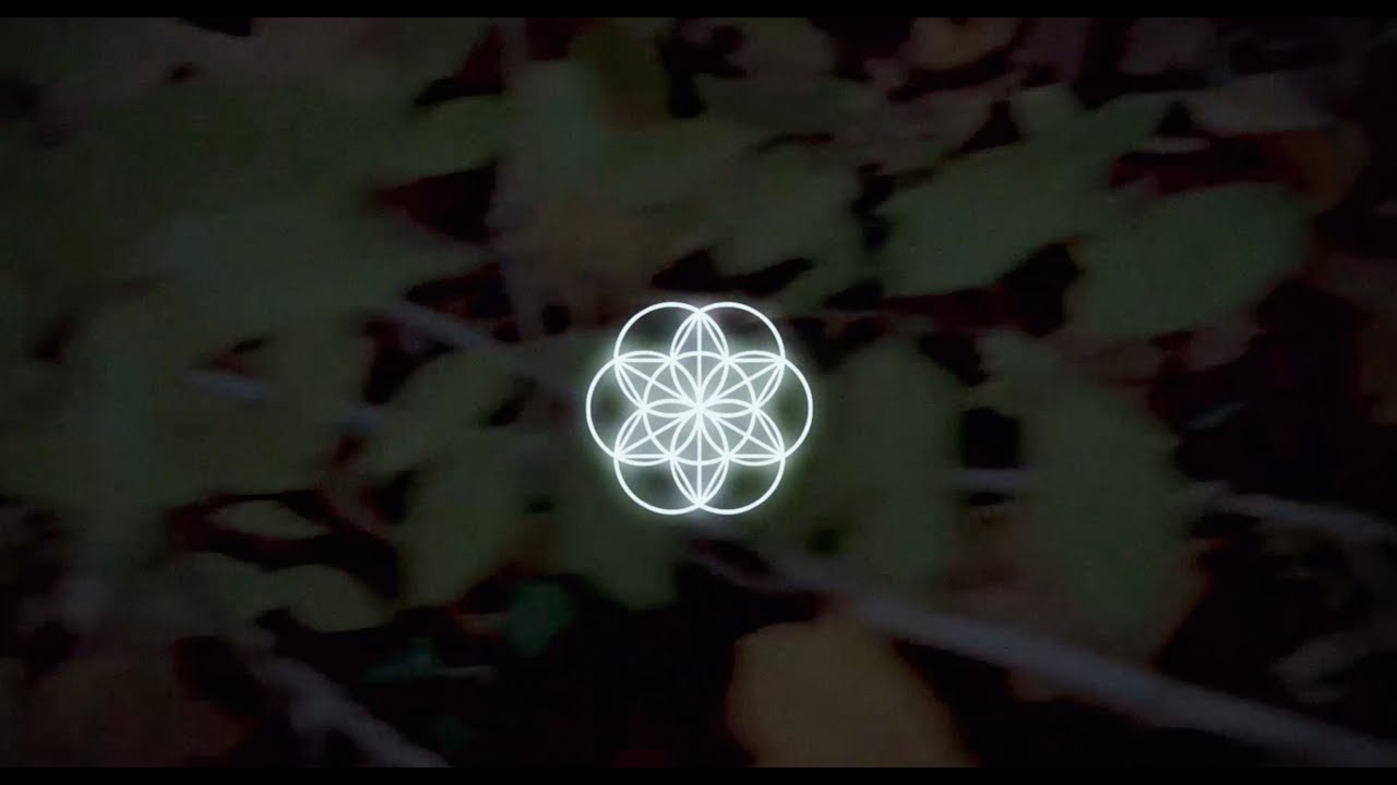 Watch STAR SEED, Dreweybear & Skye Silansky - Echoes on YouTube Watch STAR SEED, Dreweybear & Skye Silansky - Echoes on YouTube