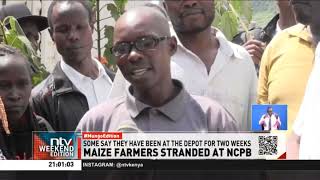 North Rift farmers count losses after NCPB delayed purchasing their commodity