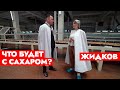 Засуха в стране – как это повлияет на сельское хозяйство? | Белгоспищепром