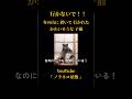 行かないで!!冬の山に置いて行かれた かわいそうな子猫#保護猫活動 #子猫保護 #保護猫 #ノラネコ屋敷 #catrescue #rescuecat