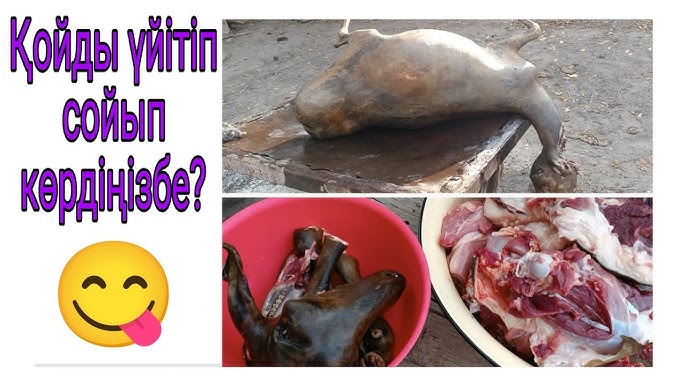 Лилидің кисығы Юбкадағы онлайн секс