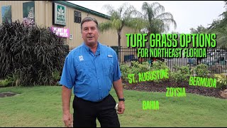 Turf Grass Options for Northeast Florida