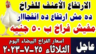 اسعار الفراخ اليوم| سعر الفراخ البيضاء اليوم الثلاثاء 25-7-2023 في مصر