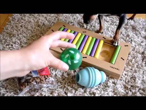 Video: DIY: Kuinka tehdä koira lelu