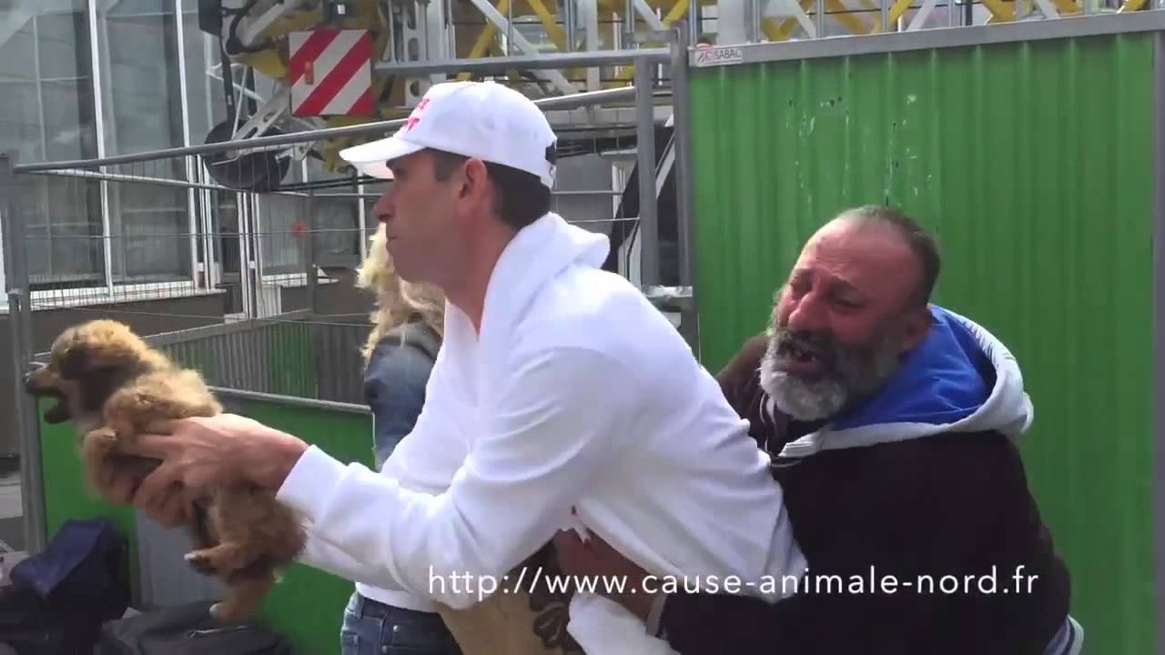 Disgusting Cause Animale Nord stealing a homeless man's dog