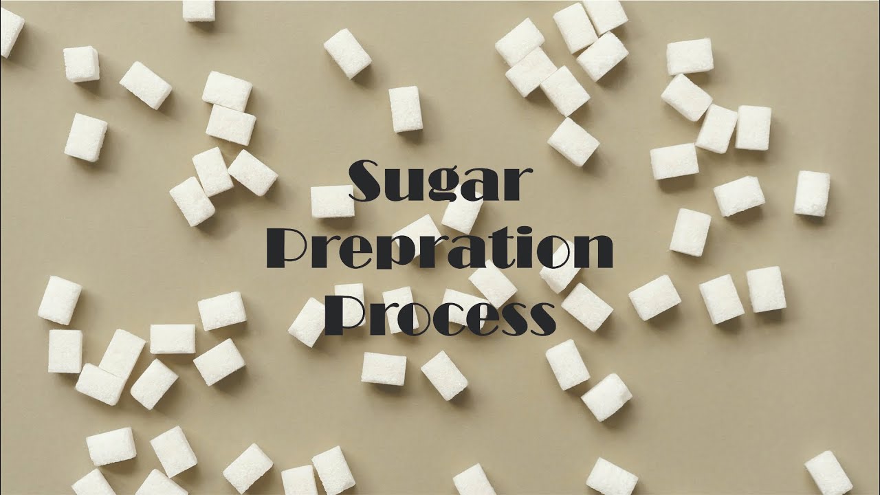 Preparation of Sugar Process explained in Detail - YouTube