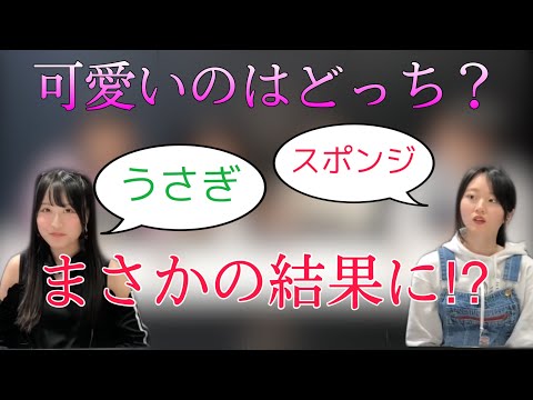 「うさぎ」と「スポンジ」可愛いのはどっち？【DIALOGUE＋切り抜き】