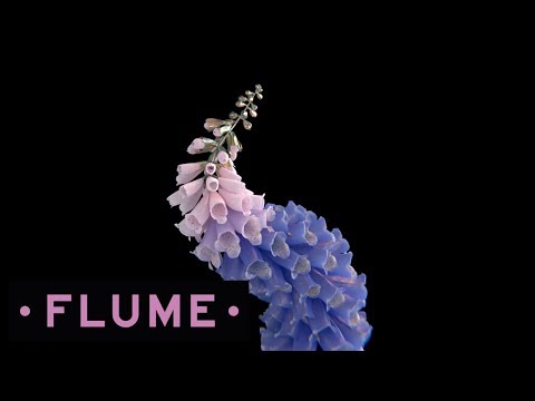 Flume – 3 mp3 ke stažení