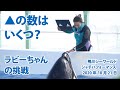 ▲の数はいくつ？　ラビーちゃんの挑戦【2020年10月21日　鴨川シーワールド　シャチパフォーマンス】Orca performance, Kamogawa Sea World, Japan