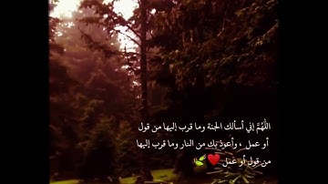 حالات واتس اب 🌷 تلاوة القارئ؛ 🍀سالم الرويلي🍀🕊😍