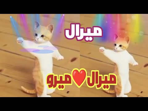 اغنية باسم ميرال ميرو اغنيه ميرال ميرال ميرال السعودية البحرين الجزائر العراق عمان تركيا جدة 