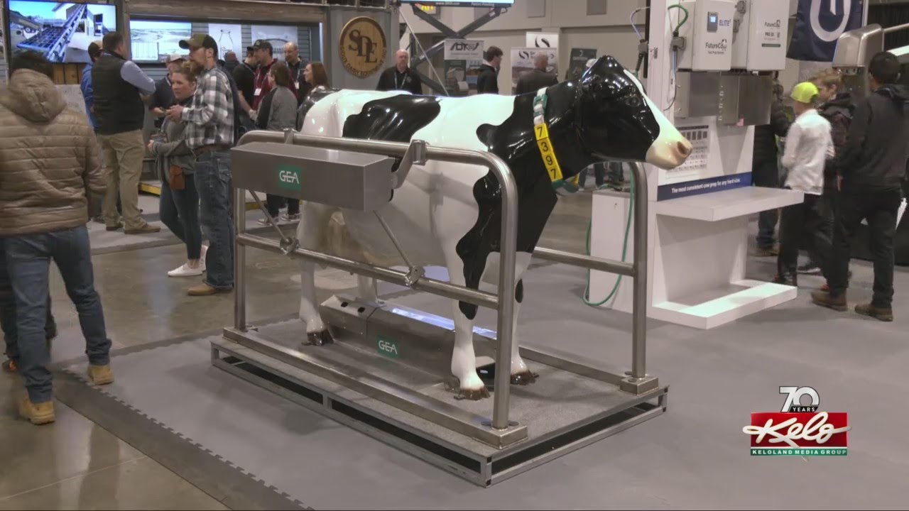 Dairy industry on full display in Sioux Falls YouTube