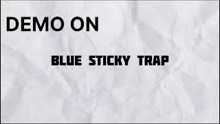 Demonstration On Blue Sticky Trap In Cotton Fields